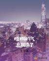 梧桐的气息回来了章节列表