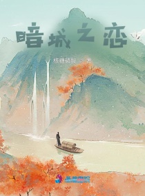 暗城之恋章节列表