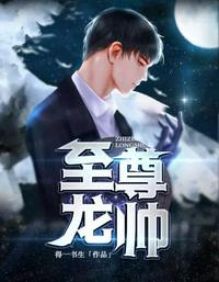 至尊龙帅章节列表