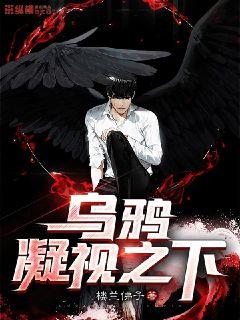 乌鸦凝视之下章节列表