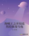 海贼王之开局竟然给我变乌龟章节列表