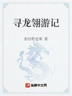 寻龙翎记章节列表