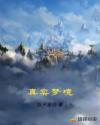 真实梦境章节列表