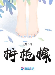 柠啊檬章节列表
