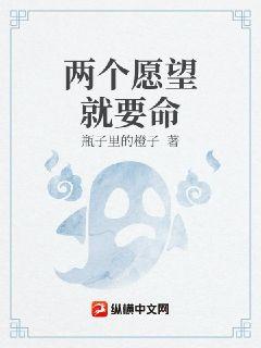 两个愿望就要命章节列表