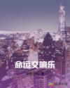 命运交响乐章节列表