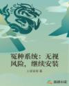冤种系统：无视风险，继续安装章节列表