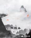 伴红尘章节列表