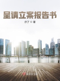 呈请立案报告书章节列表