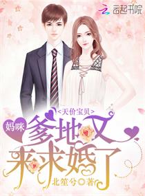 总裁的第N次求婚章节列表