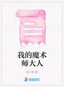 我的魔术师大人章节列表