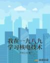 我在一九八九学习核电技术章节列表