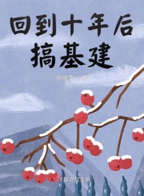 回到十年后搞基建章节列表