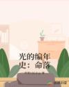 光的编年史：命落章节列表