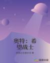 奥特：希望战士章节列表