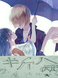 半斤八两的魔法师章节列表