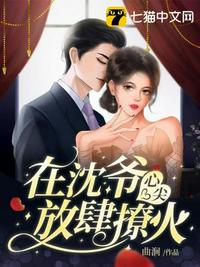 在沈爷心尖放肆撩火章节列表