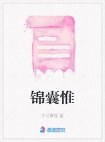 锦囊惟章节列表