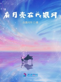 有月亮在我银河章节列表