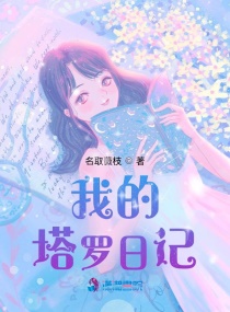 我的塔罗日记章节列表