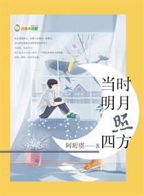 当时明月照四方章节列表