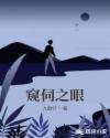 窥伺之眼章节列表