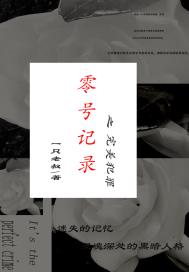 零号记录之完美犯罪章节列表
