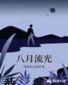 八月流光章节列表