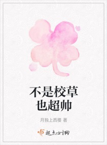 不是校草也超帅章节列表