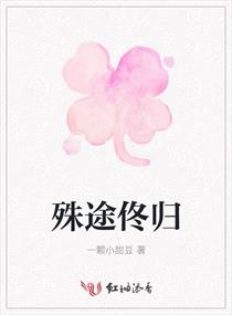 殊途佟归章节列表