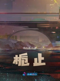 栀止章节列表