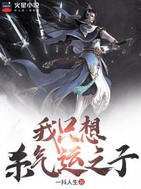 我只想杀气运之子章节列表