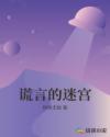 谎言的迷宫章节列表