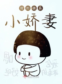 我的佛系小娇妻章节列表