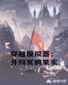 穿越模拟器：开局冥鸦果实章节列表