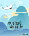 岁月流转，魂归旧梦章节列表