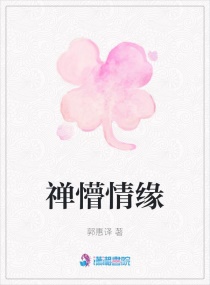 禅懵情缘章节列表