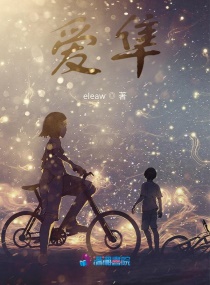 爱隼章节列表