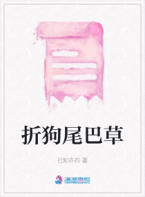 折狗尾巴草章节列表