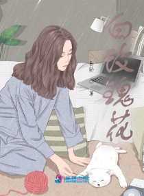 楠若章节列表