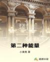第二种能量章节列表