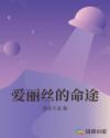爱丽丝的命途章节列表