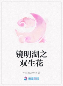 镜明湖之双生花章节列表