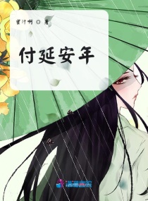 付延安年章节列表