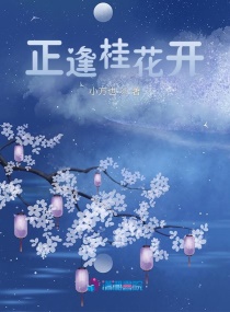 正逢桂花开章节列表