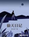 偷天日记章节列表