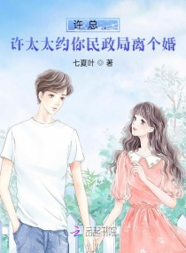 许总，许太太约你民政局离个婚章节列表