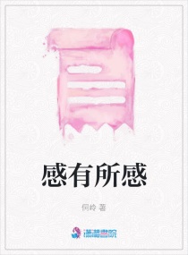 感有所感章节列表