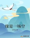 缘是一场空章节列表