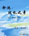 命运：残乱之章章节列表